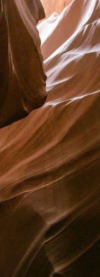 The Physic Garden - CEREAL